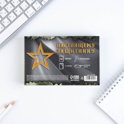 Подарочный набор «С 23 февраля» блокнот, значок, наклейки и карандаши 2 шт