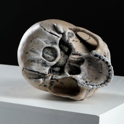 Копилка "Череп", глянец, бежевый цвет, 15 см