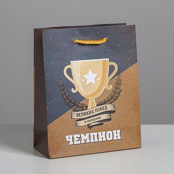 Пакет ламинированный вертикальный «Чемпиону», S 12 × 15 × 5.5 см