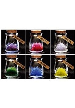 Кристалл в банке (вырасти сам)