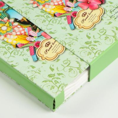 Фотоальбом на 300 фото 10х15 см "Достопримечательности в цветах" в коробке МИКС