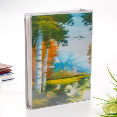 Фотоальбом на 200 фото 10х15 см 3D "Берёзовая опушка"