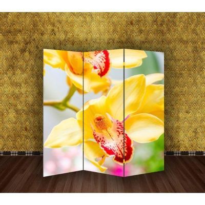 Ширма "Орхидеи", 160 × 150 см