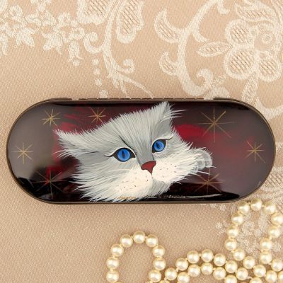 Футляр для очков, отдел на клапане, цвет чёрный