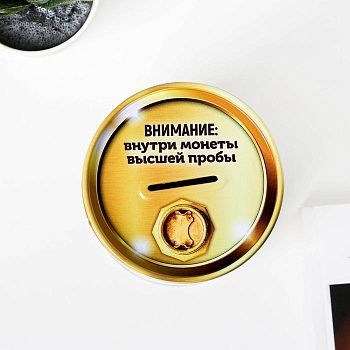 Копилка "Мой первый миллион"