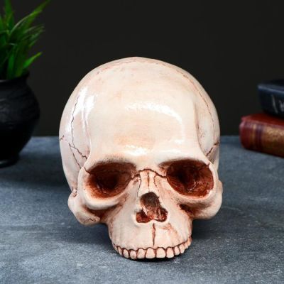 Копилка "Череп", 19х13х15см