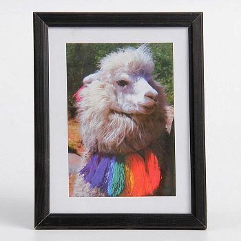 Фоторамка 15х20 см (7N68) чёрный