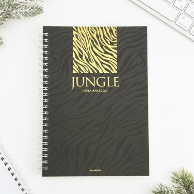 Набор ежедневник и павер банк, мод.РВ-04, "Сияй", 22,7 х 24,5 см