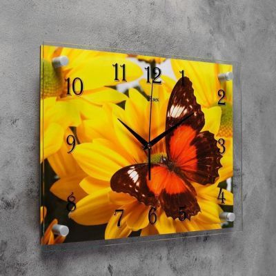 Часы настенные, серия: Животный мир, "Бабочка на гербере", 30х40  см, микс
