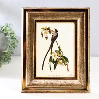 Фоторамка пластик 13х18 см "Медина" серебро и полоски 25,4х20,4х1,8 см