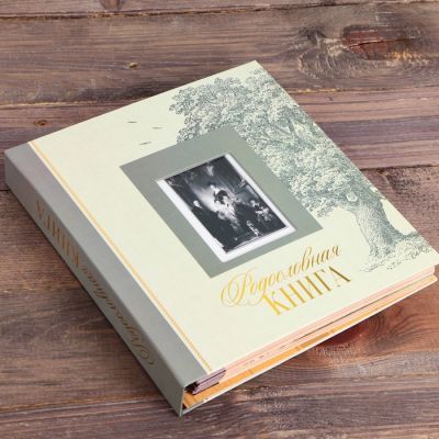 Родословная книга с рамкой под семейное фото в подарочной коробке (22 х 40 см)