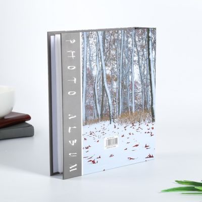 Фотоальбом на 80 фото 10х15 см "Природа" в коробке МИКС 23х19х5,2 см