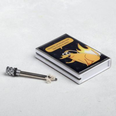 Спичка вечная «Твои планы на жизнь», 1 × 4 × 7 см