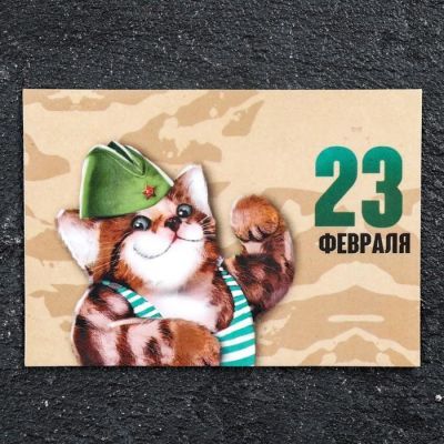 Магнит винил "23 февраля" 7х10 см