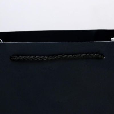 Пакет ламинированный вертикальный «Ты лучший», ML 23 × 27 × 11,5 см