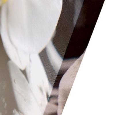 Модульная картина "Три орхидеи" (3-35х35) 35х105 см