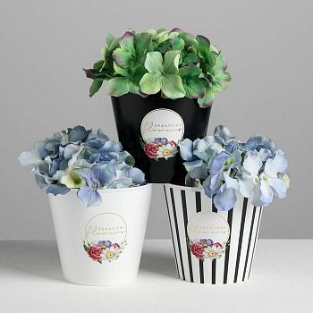 Набор кашпо 3 в 1 Beautiful, тиснение, 0,8 л, 11 х 12 см