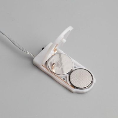 Гирлянда «Мишура» 2 м роса, IP20, серебристая нить, 50 LED, свечение тёплое белое, CR2032х2