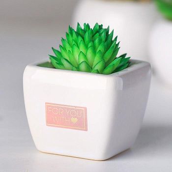 Суккулент в керамическом горшочке For you with love, 7.5 × 5.5 × 6 см