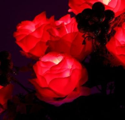 Светодиодная ваза "Розы" (64 × 16 см. фиолетовый)