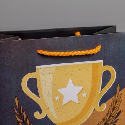 Пакет ламинированный вертикальный «Чемпиону», MS 18 × 23 × 10 см