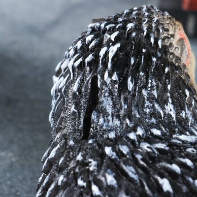 Копилка "Два ежика" 14см