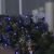 Гирлянда «Нить» 10 м, IP65, УМС, тёмная нить, 100 LED, свечение синее, 220 В Гирлянда «Нить» 10 м, IP65, УМС, тёмная нить, 100 LED, свечение синее, 220 В