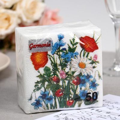 Салфетки бумажные «Гармония цвета. Божья коровка», 50 шт.