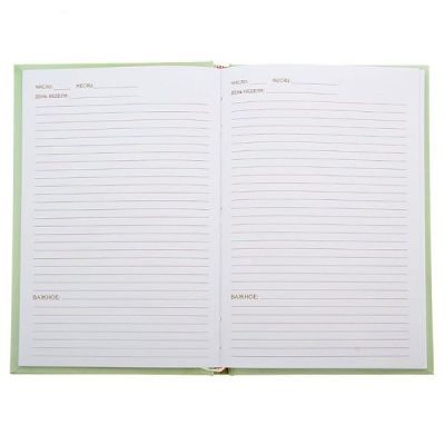 Ежедневник "Стартовый капитал" (формат А5, 96 листов)