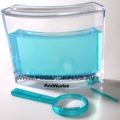 Настольный муравейник (14х16.5х3 см)