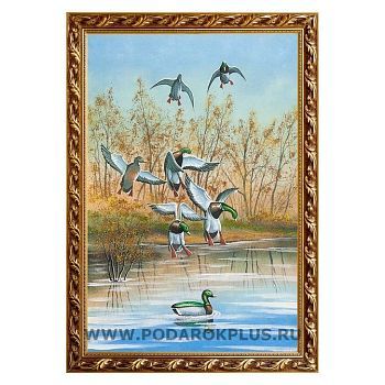 Картина "Утки" багет №199 (40х60 см)