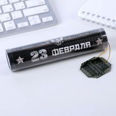Ручка в тубусе "23 февраля", пластик