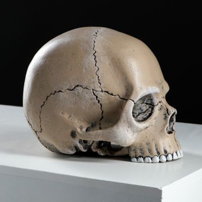 Копилка "Череп", глянец, бежевый цвет, 15 см