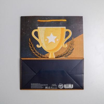 Пакет ламинированный вертикальный «Чемпиону», ML 23 × 27 × 11,5 см