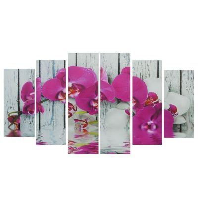 Картина модульная на подрамнике "Орхидея фаленопсис"  150*84 см