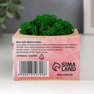 Кашпо со стабилизированным мхом "Цвети и Пахни"