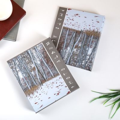 Фотоальбом на 80 фото 10х15 см "Природа" в коробке МИКС 23х19х5,2 см