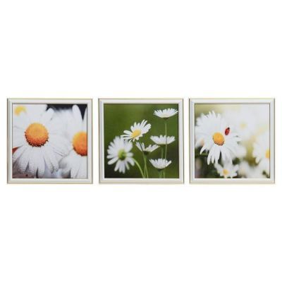 Картина модульная "Ромашки" 25х75(28х84) см  3шт-25х25(28х28)см