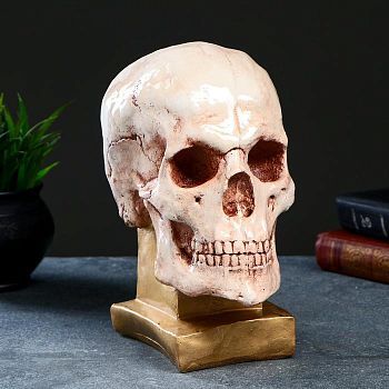 Копилка "Череп на подставке №3" бежевый камень, 24х13х18см