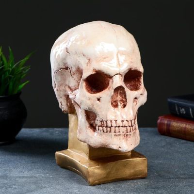 Копилка "Череп на подставке №3" бежевый камень, 24х13х18см