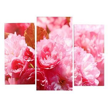 Картина модульная на подрамнике  "Пионы розовые" (2-25х50, 30х60см)  80х60см