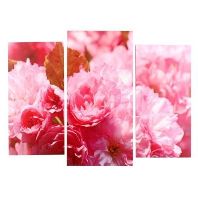 Картина модульная на подрамнике  "Пионы розовые" (2-25х50, 30х60см)  80х60см