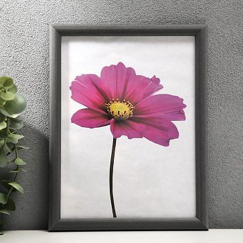 Фоторамка "Серебро матовое" пластик 15х20 см