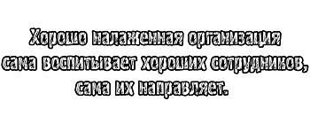 Кружка-мотиватор "Хорошо налаженная организация сама воспитывает хороших сотрудников, сама их направляет"