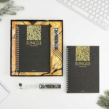 Набор ежедневник и павер банк, мод.РВ-03, "Energy for men", 22,7 х 24,5 см