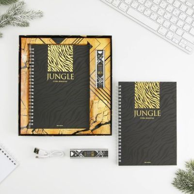 Набор ежедневник и павер банк, мод.РВ-03, "Energy for men", 22,7 х 24,5 см