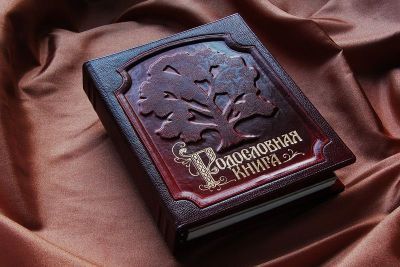 Родословная книга ИЗЫСКАННАЯ,  БОРДО (24,5х31,5х5см)