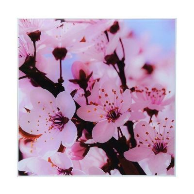 Картина на стекле "Сакура" 30*30