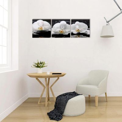 Модульная картина "Три орхидеи" (3-35х35) 35х105 см