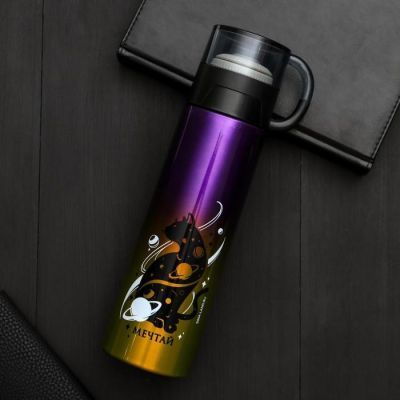 Термос "Мечтай", 550 мл, сохраняет тепло 12 ч